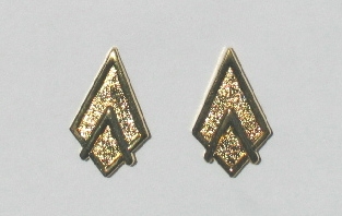 BSG Officer Rank Pins (set of 2) - Lieutenant